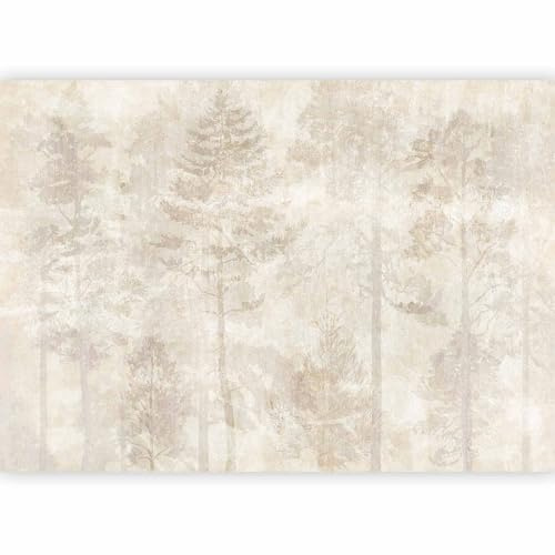 murando PREMIUM Fotomurales Bosque 350x256 cm Papel pintado | tejido no tejido Decoración de Pared decorativos Murales moderna de Diseno Fotográfico Árboles Niebla concreto