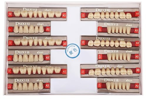 Dent Résine Synthétique Résine Acrylique Dents Dentier Résine Synthétique Dentaire Fausses Dents Pour Modèles De Prothèses Dentaires, Projets De Bricolage, Fournitures De Dentiste Professionnel