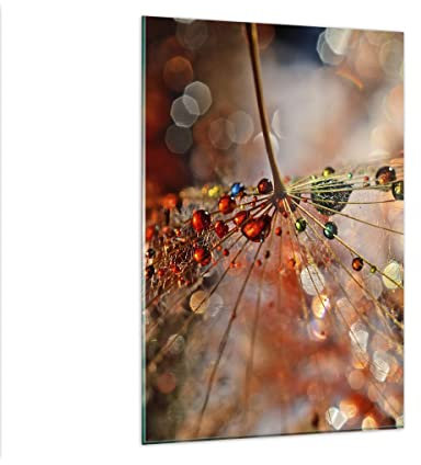 Wandbilder Dekoration Wohnzimmer Spinnennetz modern Bilder auf Glas 80x120cm Glasbild Schlafzimmer Küche Deko Wand Kunstdruck Art Groß XXL Wanddeko Bild im Glas Modern Wall Decor GPA80x120-3774