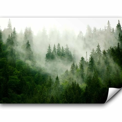 murando - Fototapete Premium-Vlies Wald Nebel, 350x256 cm, Schlafzimmer