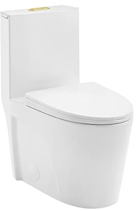 St. Tropez One Piece Elongated Toilet Dual Vortex Flush, Gold Hardware