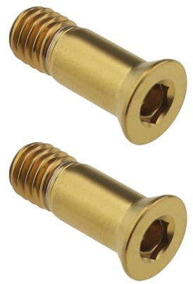 eMagTech 2pcs Titanium Alloy Fixing Screws Bicycle Rear Derailleur Bolt Bicycle Derailleur Guide Wheel Fixing Screw for Road Bike Mountain Bike