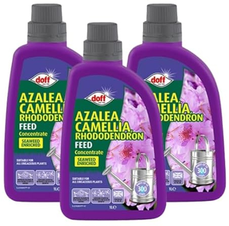 Doff Azalia, Camellia, Rhododendron | Highly Concentrated Liquid Feed 3 x 1L | Makes 900L of Ready to Use Liquid Feed
