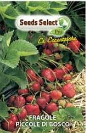 Seeds Select Pro Semi di Fragole di Bosco, 500g, Germinazione 14 Giorni, Altezza Pianta 40 cm, Per Esterno