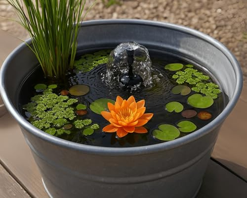 Garnelio Miniteich Pflanzen Set - Seerose Nymphaea Sulphurea vorgezogen in Kokosfaser - 3 Schwimmpflanzen - Seerosen-Dünger 25 Kapseln - Perfekt für Zinkwanne & Kübel - Orange Seerose