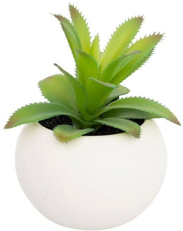 Atmosphera - Plante grasse en Pot H13 - Modèle f/Blanc