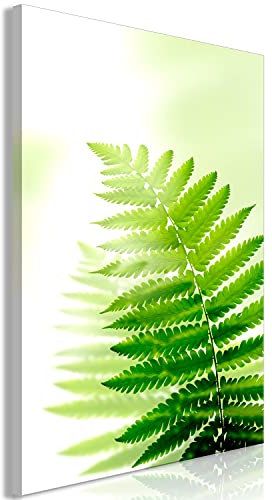 murando - Wandbilder Farn 60x90 cm 1 tlg - Wand Deko Vlies Leinwand Bilder Groß Wanddeko Wohnzimmer Schlafzimmer Kunstdrucke - Pflanzen Natur b-C-0591-b-a
