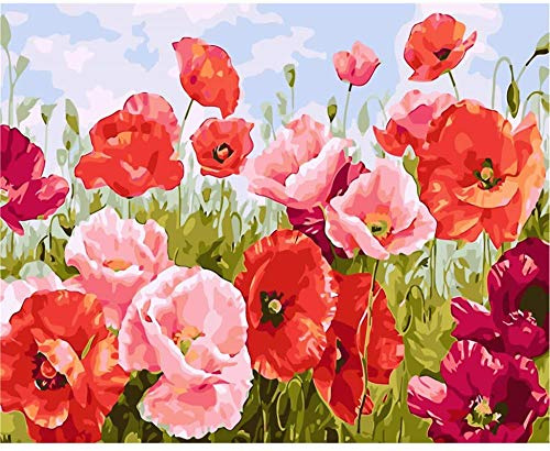 YEESAM ART DIY Ölgemälde Malen nach Zahlen Erwachsene Kinder, Mohnblumen Zahlenmalerei ab 5 Öl Wandkunst (Mohnblumen, mit Rahmen)