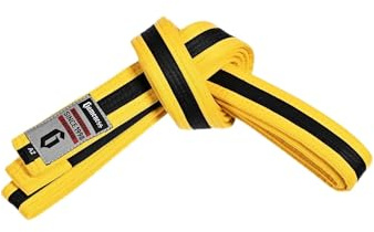 Gameness Youth Jiu Jitsu Striped Belt | BJJ Belt for Kids | Jiu Jitsu Youth Striped Belt from Sports Yellow/Black A2