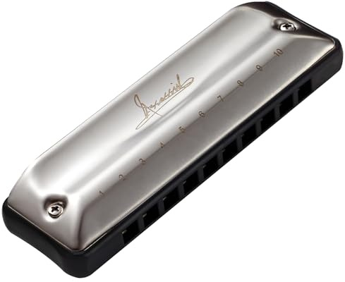 Blues Harmonica Key of G Harps for Adults Kids Professional Beginners Mini Mouth Organ with Case Guitar Accessories 10 Holes 20 Tones | Assassin Uncoated Stainless Steel