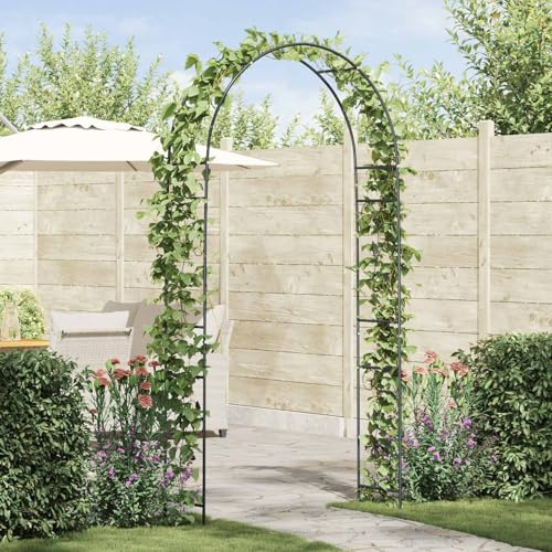 Ziaphsol Arche de jardin florale noire 115 x 37 x 231 cm en métal, treillis pour support de plantes, rose, clématis, lierre, décoration pour mariage dans le jardin