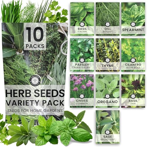 Herb Seeds | 10 Individual Packs | 2026 Season | Non-GMO | Mint, Parsley, Basil, Thyme & More! | for Planting Indoor & Outdoor | by Family Sown