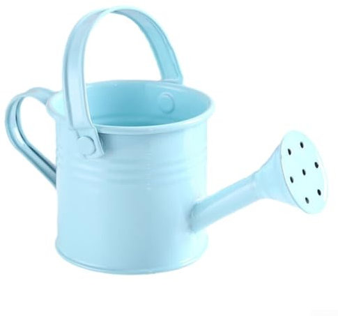 YUANGANG Regadera de metal con boquilla fácil de verter para plantas de interior y exterior, aspersor de jardín, maceta de flores (azul claro)