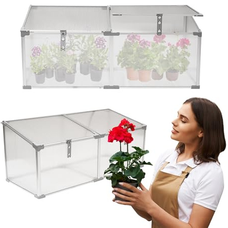 Grindi Frühbeetaufsatz - Mini Gewächshaus Magnolia II 120x51x51 cm - Gewächshaus klein Balkon - Garten Polycarbonat - Hochbeet Balkon Treibhaus - Frühbeetkasten - Laarbeek Mini