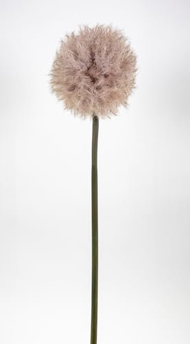Seidenblumen Roß Pusteblume 88cm CG Kunstblumen künstliche Dandelion Taraxacum Blumen (Braun)