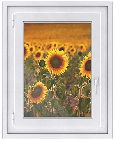 Fensterfolie Sonnenschutz I Hochwertige Folie für Fenster - selbsthaftend I Dekofolie für Bad, Küche, Kinderzimmer - Wasserfest, Beständig - Made in Germany