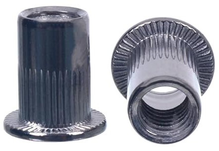 NAJDER Nietmutter aus Edelstahl mit gezahntem Bund, M10 x 17 mm, Blindnietmuttern, Gewindenieten Senkkopf-Nietmuttern, Flachkopf Nietmuttern, A2-AISI 304 (100 Stücke)