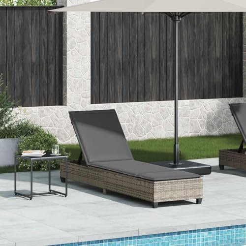 Fasba Sonnenliege Gartenliege Liegestuhl Liege Gartenmöbel Saunaliege Strandliege mit Auflagen Grau 55x200x25,5cm Poly Rattan