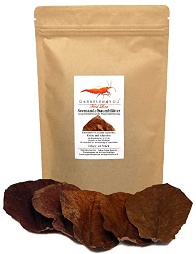 GARNELEN4YOU® Seemandelbaumblätter | Catappa | Premium Langzeitfuttermittel & Wasseraufbereitung | klimaneutrale Verpackung | Garnelen, Krebse, Schnecken (10-12 cm, 40, stück)