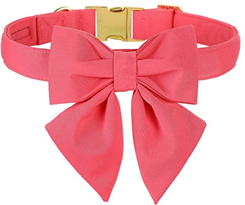 Unique style paws Hundehalsband aus Baumwolle mit Fliege, Dauerhaft und Komfortabel Halsband in 12 Farben, Verstellbares Halsband für Kleine Hunde, Welpen und Katzen mit Goldener Metallschnalle