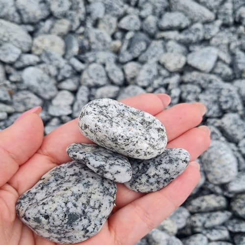 Dekosteine Grauer Kieselstein Dalmatiner Kieselsteine Deko Verschiedene Natur Deko Kieselsteine Grau 2-4 cm - Gemischter Flusskies für Vasenfüller, Landschaftsbau, Aquarien & Garten (20, Kilogramm)