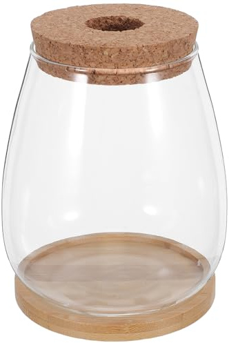 Lurrose Kit Hydroponique 2 Pièces pour Propagation de Plantes Grands Contenants en Verre avec Bouchon en Liège Perforé et Plateau en Bambou Vase Hydroponique pour Culture
