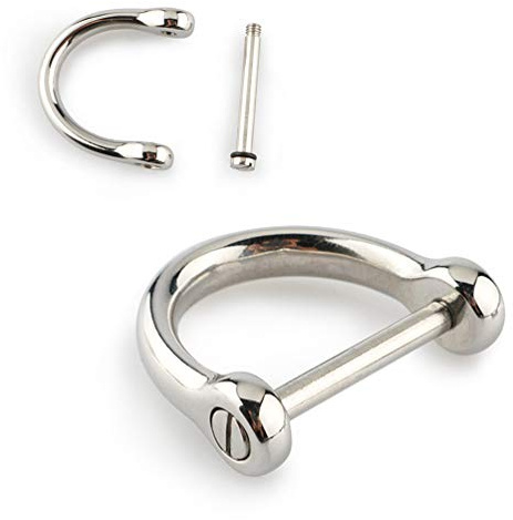 2 Stück D-Ringe mit Verschlussschraube Schäkel Hufeisen U-Form Schlüsselanhänger für DIY Handwerk Geldbörse Schlüsselanhänger Herstellung Silber