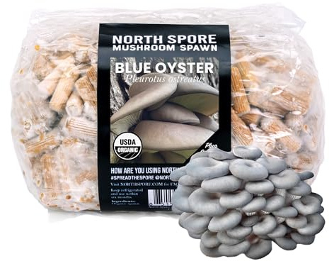 North Spore Bio Blaue Auster (500 ct) Pilzpfropfen für Holzscheite | Premium Qualität Pilz Plug Spawn | Handgefertigt in Maine, USA | Gourmetpilze im Freien auf Holzscheiten anbauen | Pleurotus