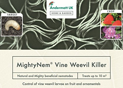 Vine Weevil Killer Nematodes - Treats 10sqm
