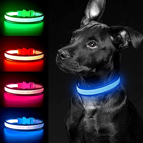 YFbrite Leuchthalsband Hund Aufladbar Nylon LED Hundehalsband Wasserdicht Verstellbar mit 3 Leuchtmodi Sicherheit für Kleine & Große Hunde (Blau, M)