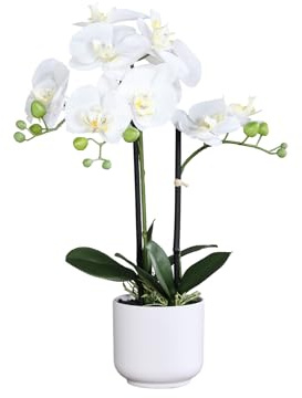 Seidenblumen Roß Orchidee Real Touch weiß im Dekotopf DP künstliche Phalaenopsis Blumen Kunstpflanzen Kunstblumen (60x40cm)