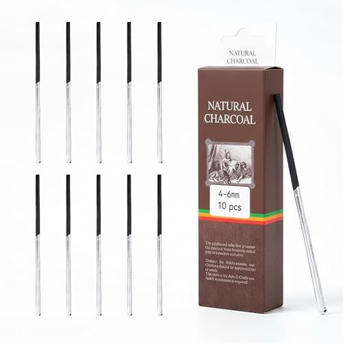 Pqrsde 10Pcs Charcoal Sticks Sketching Essentials Charcoal Pencils Graphite Stick for Art Handy Tools for Creators of All Levels