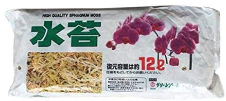 HUANRU Sphagnum Moos Für Bonsai, Orchideen, Sphagnum Moos Substrat Get Trocknen, Wassermoos Trockenmoos Wasser Gras Substrat Für Orchidee Phalaenopsis (125g)