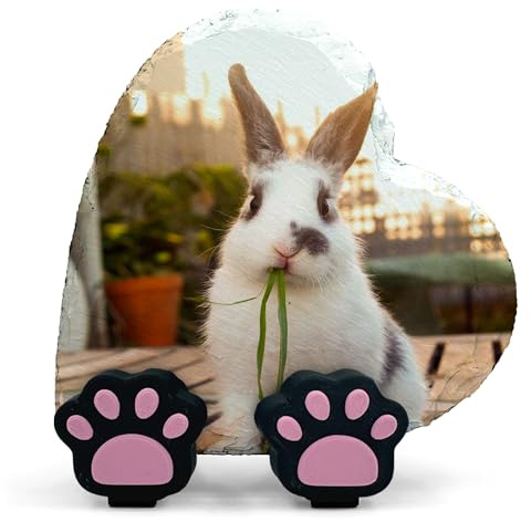 EMIT PRINT Personalisierte Gedenktafel für Haustiere Herz Foto Text Name mit Pfote Display Stand Katze Hund Schiefer Stein Grab Marker | Voller Druck Horizontal | Größe 10x10 cm