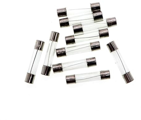 6x30 mm 1,25A 1,25 amp 250V 250 Volt 0,23x1,18 Pollici F1,25A 250V Fusibili in vetro rapidi (10 pezzi)