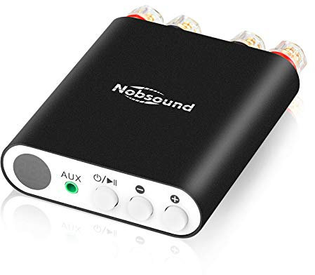 Mini amplificatore digitale Bluetooth 5.0 DSP stereo integrato amplificatore di potenza 200 W (Nobsound TA-21)