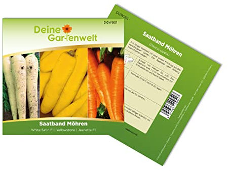 Saatband Möhren 5 m mit 3 Sorten: Jeanette F1, White Satin F1 und Yellowstone Samen - Daucus carota - Möhrensamen - Gemüsesamen - Saatgut