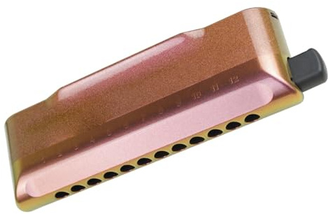 Diatonische Mundharmonikas Chromatische Mundharmonika für Musiker