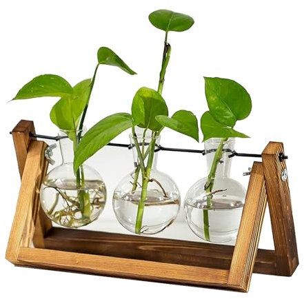 Clear Bloom® | 3 Vasen Glühbirne für Tauchpflanzen | Naturholzständer | Inkl. Spritzflasche | Hydroponik | Zen Interior Dekoration Geschenk | Hydrokultur Blume oder Pflanze | OriginalCorner®