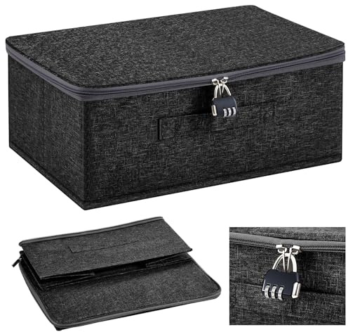 Briwooody Discreet Lockable Toy Bag Storage Organizer Toy Bag Storage Bins Case with Zipper Lid for Women and Men Clothes Container(Black,15 x 10 x 6.3 Inch)