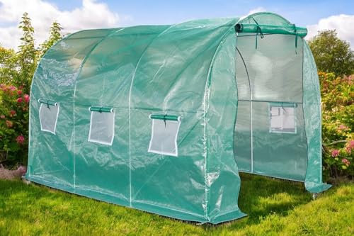 Lendo Online Serra a tunnel 200 x 300 x 200 cm, robusta serra con pellicola in PE resistente ai raggi UV e struttura in acciaio zincato, serra per piante per il giardinaggio di ogni stagione, verde