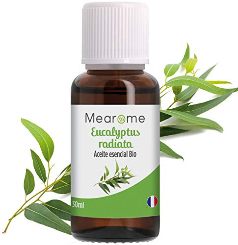 Aceite Esencial | Eucalipto Radiata | Puro | 30 ml | 100% Natural | Bio | Para Aromaterapia | Humidificador Ultrasónico
