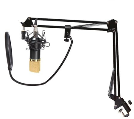 POPETPOP Micrófono de Condensador Bm-800 Negro con Soporte y Filtro