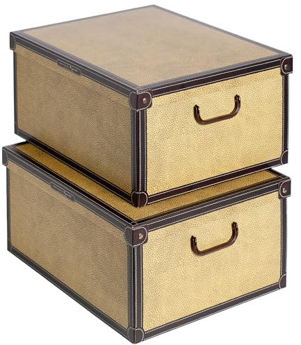 Lavatelli Set 2 pezzi Scatole armadio in cartone, organizer per vestiti e biancheria, per cambio stagione, Tapirus 50x40xh25 cm