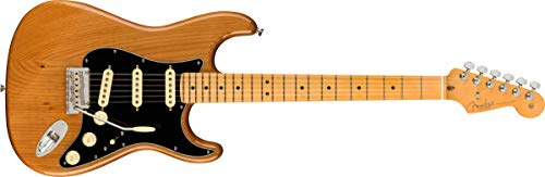 Fender American Professional II MN Roasted Pine - E-Gitarre