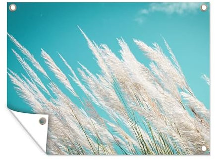 MuchoWow Poster exterieur Herbe de la pampa - Plante Decoration murale 120x90 cm Résistant aux intempéries/soleil