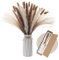 Wemk Pampas Secas Decoracion con Jarrón Incluido, 44 Piezas Pampa Naturales Blancas y Marrones, cañas, Colas de Conejo, Adecuado para Boda y Hogar Decoracion