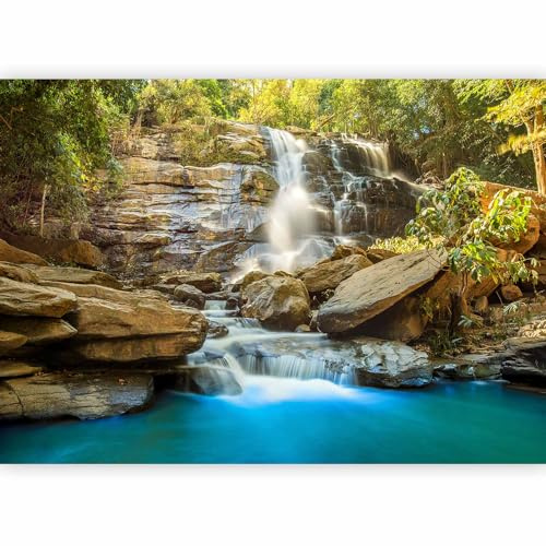 Papier peint murando intissé 250x175 cm Décoration Murale XXL Poster Tableaux Muraux Tapisserie Photo Trompe l'oeil Fleur Paysage Nature c-B-0141-a-b