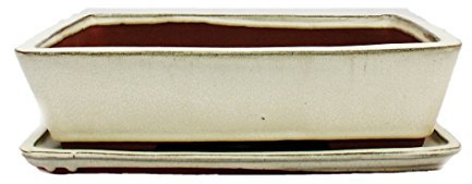 Exotenherz - Bonsai-Schale mit Unterteller Gr. 5 - hellbeige - eckig - Modell G30 - L 31cm - B 23cm - H 8 cm
