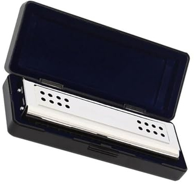 24 Loch 2 In 1 Mundharmonika Tremolo Blues Mundharmonika Double Side Master Key Set C&G Tuning Harfe Blasmusikinstrument